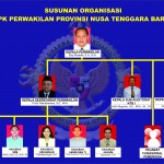 Struktur Organisasi BPK